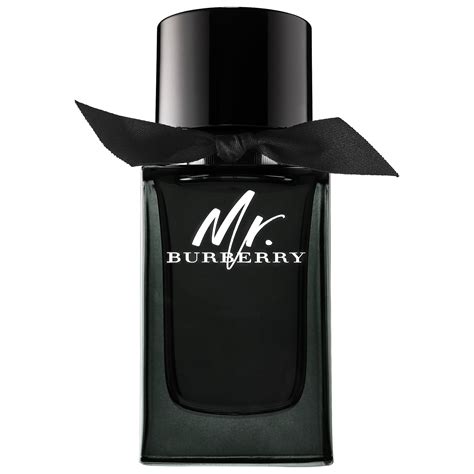 mr burberry by burberry eau de parfum|mr burberry perfume 50ml.